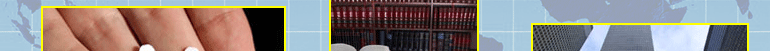 Hale & Associates Investigation Services